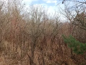 Prodej zahrady, Brno, 1700 m2