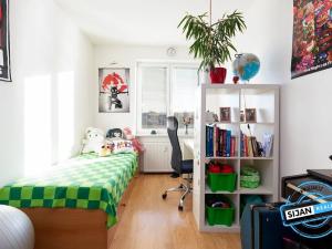 Pronájem bytu 2+1, Vítkov, Budišovská, 48 m2