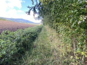 Prodej lesa, Lánov - Horní Lánov, 4009 m2