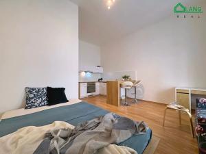 Pronájem bytu 1+kk, Brno, Běhounská, 32 m2