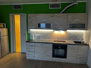 Pronájem bytu 1+kk, Praha - Žižkov, Olšanská, 36 m2