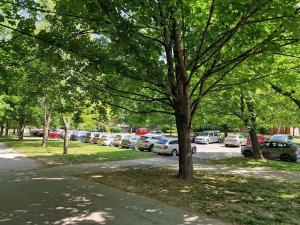 Pronájem bytu 1+kk, Brno, Okrouhlá, 28 m2