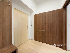 Pronájem bytu 1+kk, Brno, Masarykova, 28 m2