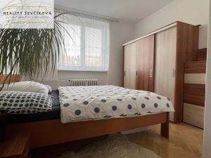 Pronájem bytu 3+kk, Vamberk, Jugoslávská, 68 m2