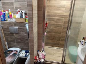 Prodej bytu 2+kk, Rakovník - Rakovník II, Mýtská, 42 m2