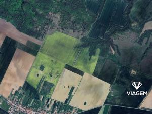 Prodej podílu pole, Jamolice, 1243 m2