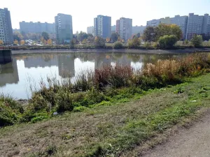 Pronájem pokoje, Praha - Stodůlky, K zahrádkám, 18 m2