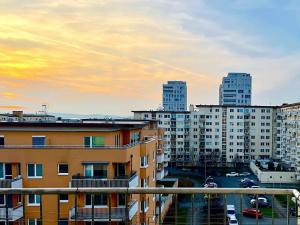 Pronájem bytu 1+kk, Brno, Dusíkova, 40 m2