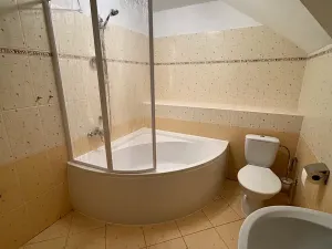 Pronájem bytu 1+kk, Karviná, Fryštátská, 48 m2