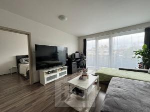 Pronájem bytu 2+kk, Brno, Tuřanské náměstí, 55 m2