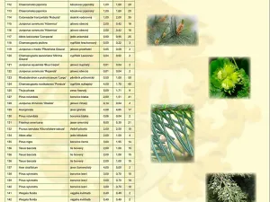 Pronájem vily, Perštejn, 700 m2