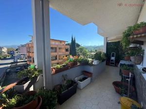 Prodej bytu 3+1, Falcone, Itálie, 57 m2