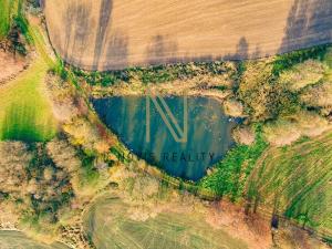 Prodej rybníku, Týnec, 2713 m2