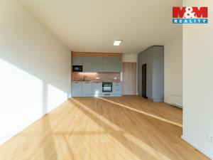 Pronájem bytu 1+kk, Brandýs nad Labem-Stará Boleslav - Brandýs nad Labem, Dřevčická, 38 m2