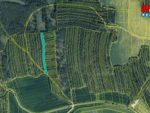 Prodej lesa, Koloveč, 13001 m2