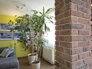 Prodej bytu 3+1, Mokrá-Horákov, 72 m2