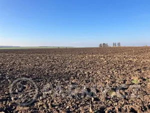 Prodej pole, Střezetice, 28205 m2