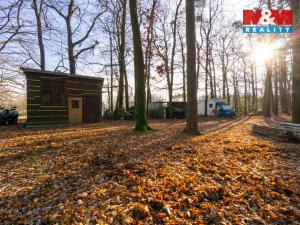 Prodej chaty, Týniště nad Orlicí - Štěpánovsko, 27 m2