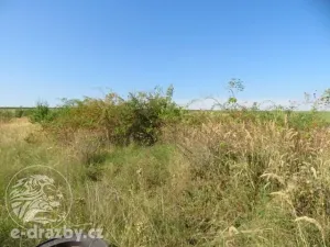 Dražba zahrady, Grunta, 689 m2