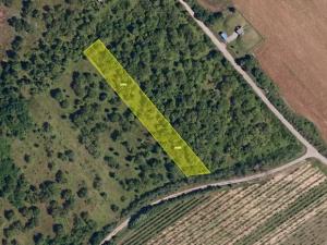 Pronájem zahrady, Dolní Kounice, 2459 m2