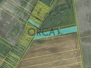 Prodej pole, Podivín, 2403 m2