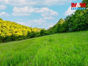 Prodej louky, Jílové u Prahy, 18692 m2