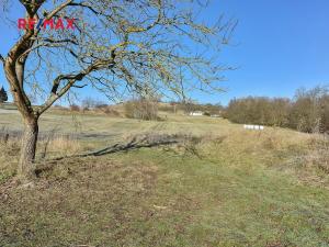 Prodej pozemku pro bydlení, Břasy, 6257 m2