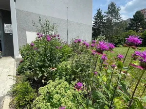 Prodej bytu 2+kk, Praha - Kamýk, Rytířova, 44 m2