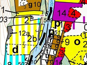 Dražba lesa, Římov, 265 m2