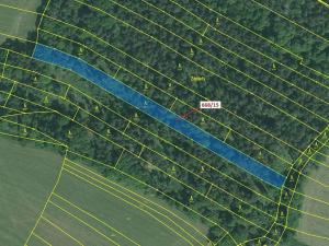 Dražba lesa, Milavče, 4689 m2