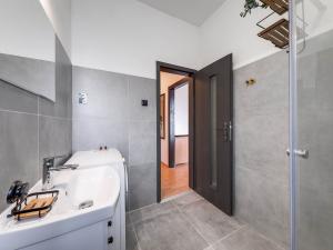 Pronájem bytu 1+kk, Ostrava - Vítkovice, Ruská, 31 m2