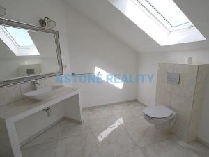 Pronájem rodinného domu, Trnová, 370 m2