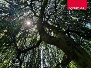 Prodej rodinného domu, Kamenice, Lomená, 157 m2