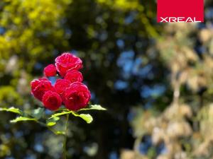 Prodej rodinného domu, Kamenice, Lomená, 157 m2