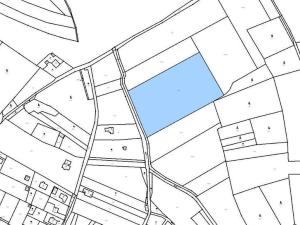 Prodej pozemku, Bechlín - Předonín, 15382 m2