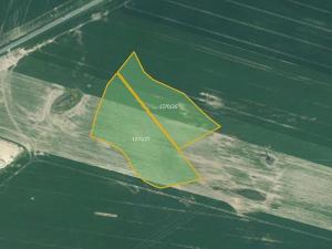 Prodej pole, Bor, 85030 m2