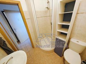 Pronájem bytu 1+1, České Budějovice, Husova tř., 40 m2