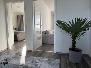 Pronájem bytu 3+1, Šenov, Škrbeňská, 78 m2