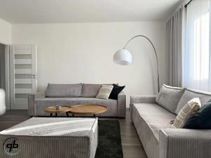 Pronájem bytu 3+1, Šenov, Škrbeňská, 78 m2