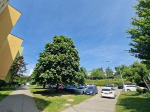 Pronájem bytu 1+kk, Brno, Okrouhlá, 28 m2