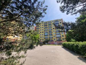 Pronájem bytu 1+kk, Brno, Okrouhlá, 28 m2