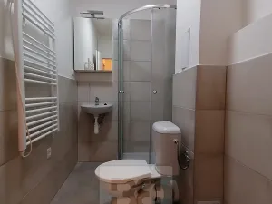 Pronájem bytu 1+kk, Ostrava, Palackého, 26 m2