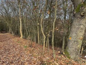 Prodej pozemku, Jílové u Prahy, 3438 m2