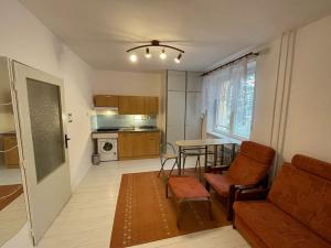 Pronájem bytu 1+kk, Kopřivnice, Družební, 25 m2