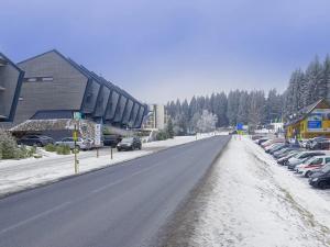 Prodej bytu 1+kk, Loučná pod Klínovcem, 28 m2