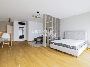 Pronájem bytu 1+kk, Praha - Vinohrady, Dudova, 57 m2