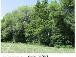 Dražba pole, Brno, 7587 m2