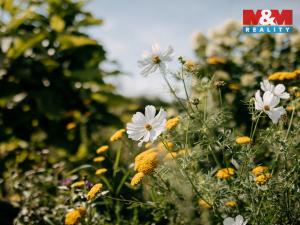 Prodej komerčního pozemku, Sušice - Divišov, 4292 m2