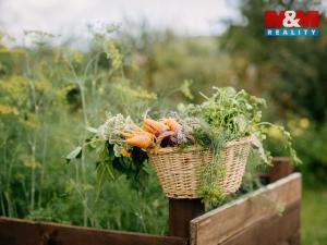 Prodej komerčního pozemku, Sušice - Divišov, 4292 m2