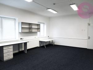 Pronájem obchodního prostoru, Ostrava, Hladnovská, 250 m2